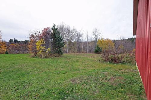 Backyard - 267 Boul. Bégin, Saint-Pacôme, QC - Outdoor With View