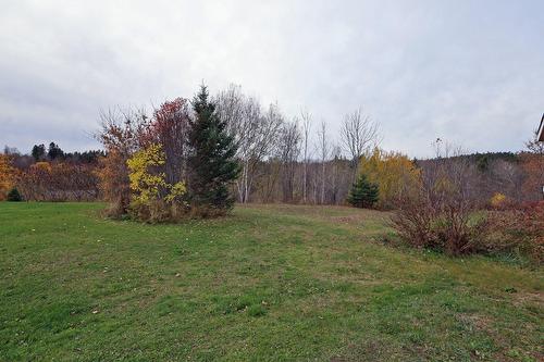 Backyard - 267 Boul. Bégin, Saint-Pacôme, QC - Outdoor With View