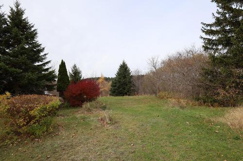 Backyard - 267 Boul. Bégin, Saint-Pacôme, QC - Outdoor With View