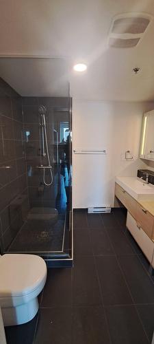 Salle de bains - 911-235 Rue Peel, Montréal (Le Sud-Ouest), QC - Indoor Photo Showing Bathroom