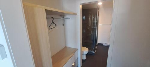 Penderie (Walk-in) - 911-235 Rue Peel, Montréal (Le Sud-Ouest), QC - Indoor