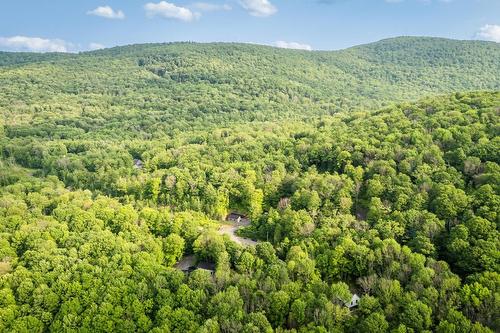  - 40 Rue Bourassa, Shefford, QC - Outdoor With View