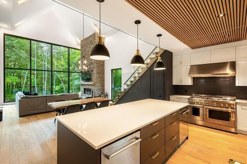  - 40 Rue Bourassa, Shefford, QC - Indoor Photo Showing Kitchen With Upgraded Kitchen