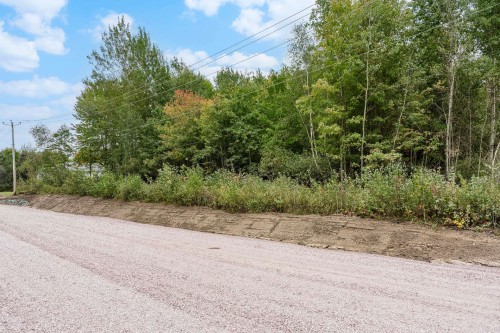 Terre/Terrain - 30-Rue Fréchette, Granby, QC 