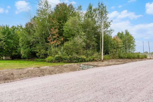 Terre/Terrain - 30-Rue Fréchette, Granby, QC 