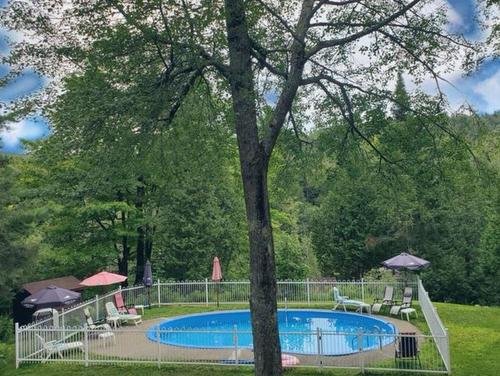 Pool - 2222  - 2334 Boul. De Ste-Adèle, Sainte-Adèle, QC - Outdoor With In Ground Pool