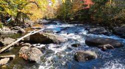 Vue sur l'eau - 
