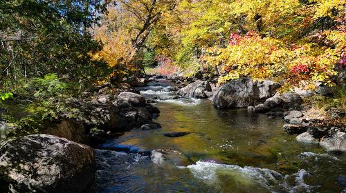 Vue sur l'eau - 2322  - 2334 Boul. De Ste-Adèle, Sainte-Adèle, QC - Outdoor With Body Of Water