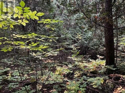 2 Shore Road, Saugeen Shores, ON 