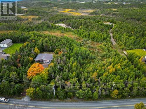 342-344 Old Broad Cove Road, Portugal Cove - St. Phillips, NL - Outdoor With View