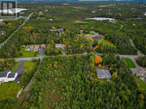 342-344 Old Broad Cove Road, Portugal Cove - St. Phillips, NL - Outdoor With View