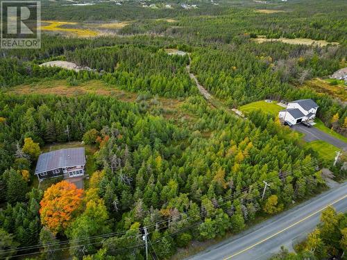 342-344 Old Broad Cove Road, Portugal Cove - St. Phillips, NL - Outdoor With View