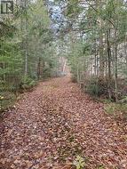 00000 RIL LAKE ROAD  Lake Of Bays (Ridout), ON P0B 1A0