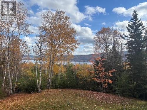 19 Juniper Grove, Humber Valley Resort, NL - Outdoor With View