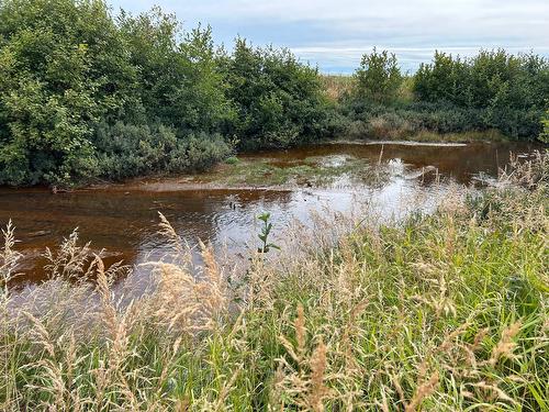 Backyard - 1199 Rue De La Rive, Sept-Îles, QC - Outdoor With Body Of Water