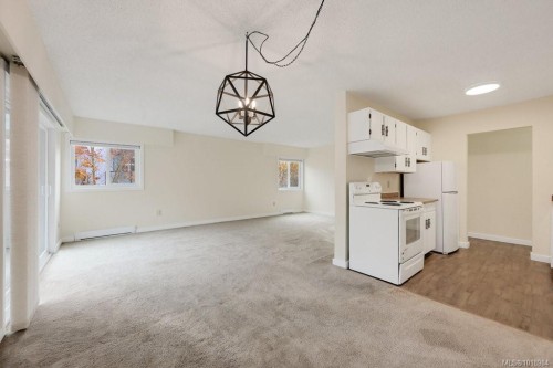 302-1039 Linden Ave, Victoria, BC - Indoor Photo Showing Kitchen
