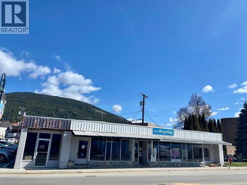 New Roof 2025. - 116 Northwest Boulevard, Creston, BC 