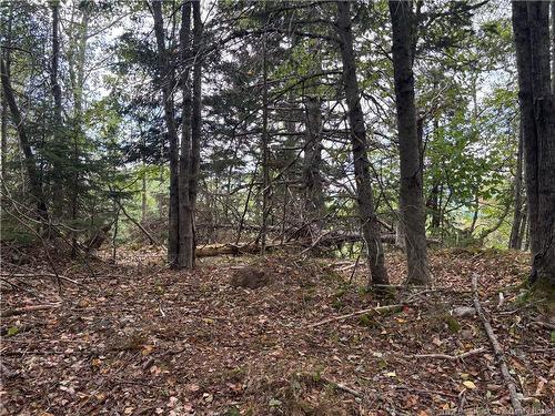 Lot B Kennebecasis River Rd, Hampton, NB 
