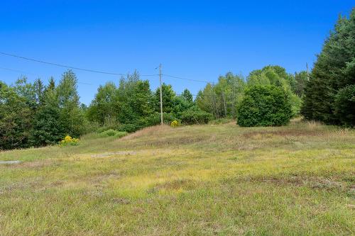 Cour - 211 Ch. Stephens, Otter Lake, QC - Outdoor With View