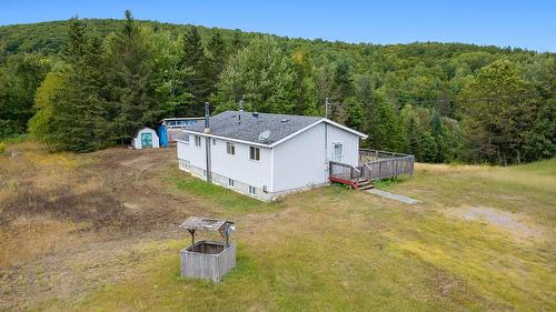 Photo aérienne - 211 Ch. Stephens, Otter Lake, QC - Outdoor