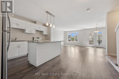 13 Meadowridge Street, Kitchener, ON - Indoor Photo Showing Kitchen With Upgraded Kitchen