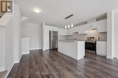 13 Meadowridge Street, Kitchener, ON - Indoor Photo Showing Kitchen