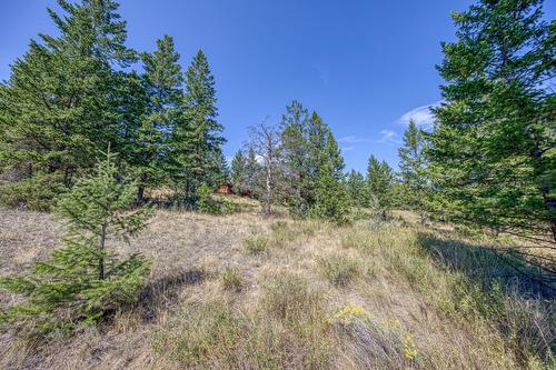Bella Vista Boulevard, Fairmont Hot Springs, BC - Outdoor With View