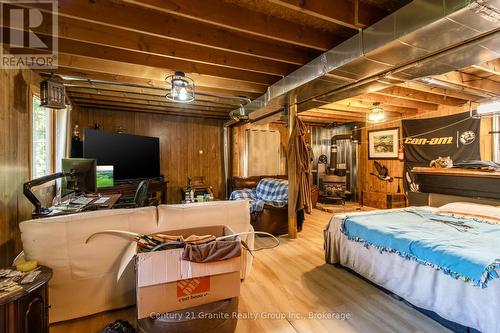 17812 Highway 35, Algonquin Highlands (Stanhope), ON - Indoor Photo Showing Basement