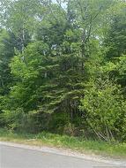 430 Bradley Lake RD  Quispamsis, NB E2S 2W9