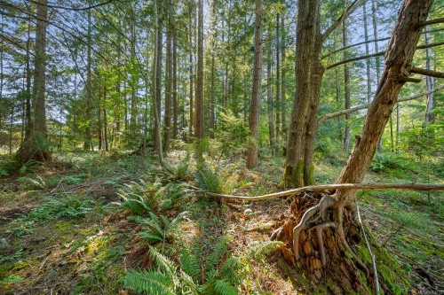 1927 Wilson Rd, Courtenay, BC 