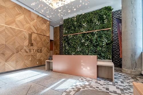 Hall d'entrée/Vestibule - 3709-1020 Rue De La Montagne, Montréal (Ville-Marie), QC - Indoor