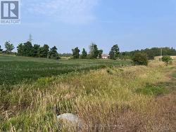 LOT B DOURO SECOND LINE  Douro-Dummer, ON K0L 2H0