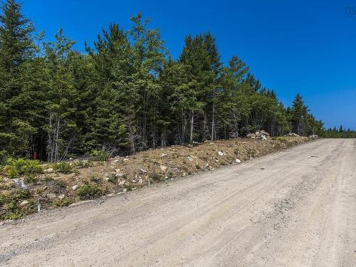 Gl-12 Gavels Lake Lane, Gavelton, NS 