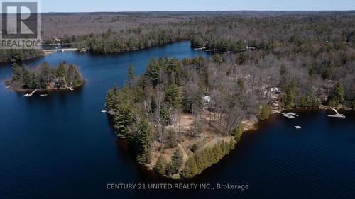 45 Fire Route 223, Trent Lakes, ON 