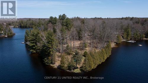 45 Fire Route 223, Trent Lakes, ON 