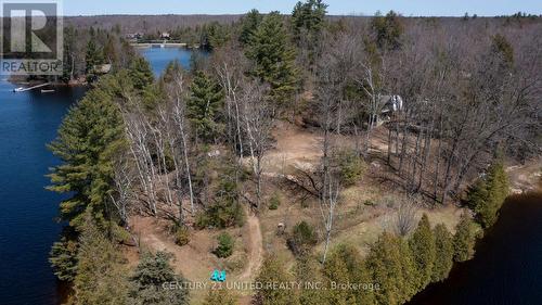 45 Fire Route 223, Trent Lakes, ON 