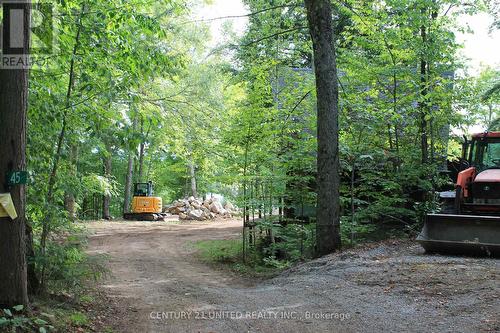 45 Fire Route 223, Trent Lakes, ON 