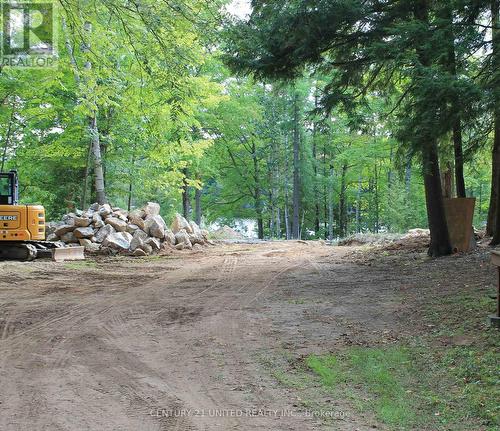 45 Fire Route 223, Trent Lakes, ON 