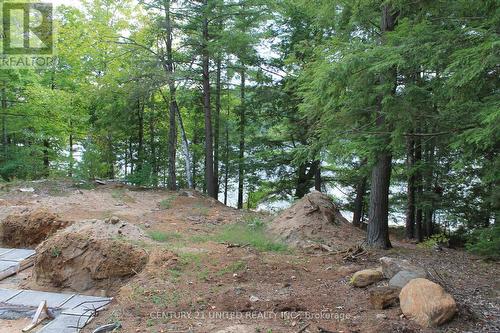 45 Fire Route 223, Trent Lakes, ON 