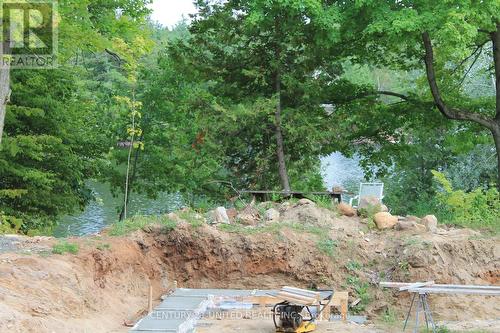 45 Fire Route 223, Trent Lakes, ON 