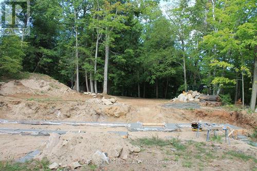 45 Fire Route 223, Trent Lakes, ON 