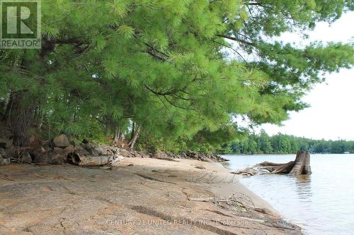 45 Fire Route 223, Trent Lakes, ON 