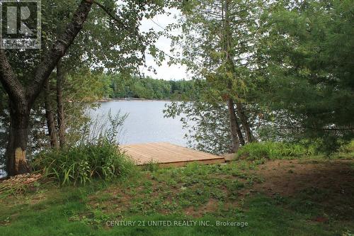 45 Fire Route 223, Trent Lakes, ON 