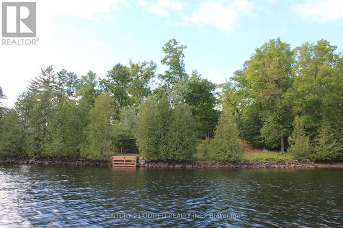 45 Fire Route 223, Trent Lakes, ON 