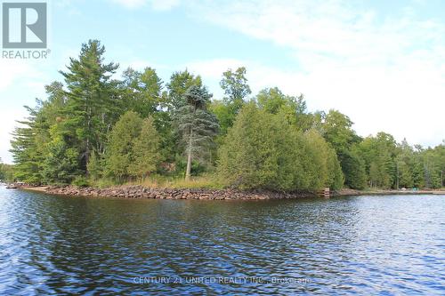 45 Fire Route 223, Trent Lakes, ON 