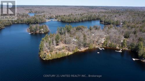 45 Fire Route 223, Trent Lakes, ON 