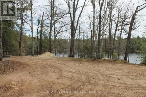 45 Fire Route 223, Trent Lakes, ON 