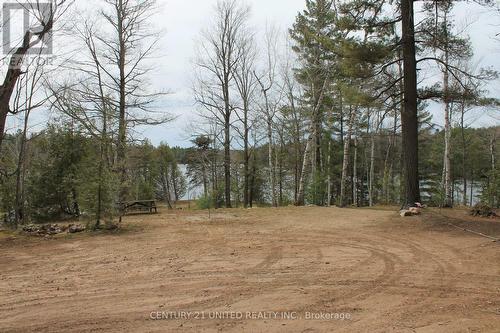 45 Fire Route 223, Trent Lakes, ON 