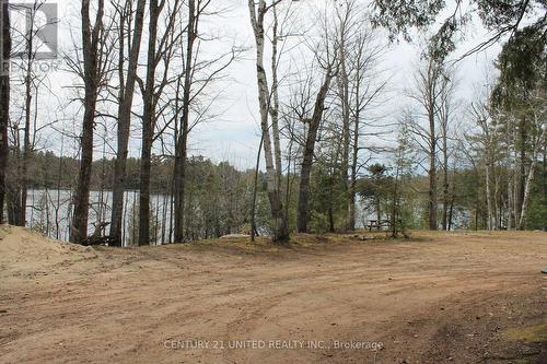 45 Fire Route 223, Trent Lakes, ON 