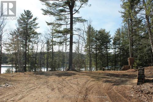 45 Fire Route 223, Trent Lakes, ON 